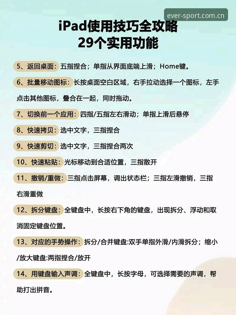 四季体育平台使用指南：从专业体育服务平台到日常运动管理的完整教程