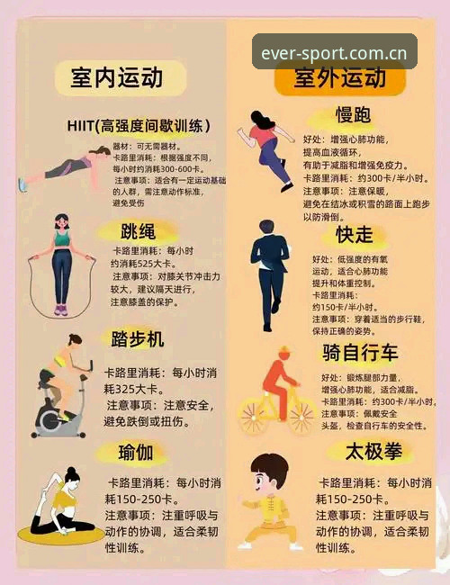 四季体育运动资讯必备指南：功能详解与使用技巧