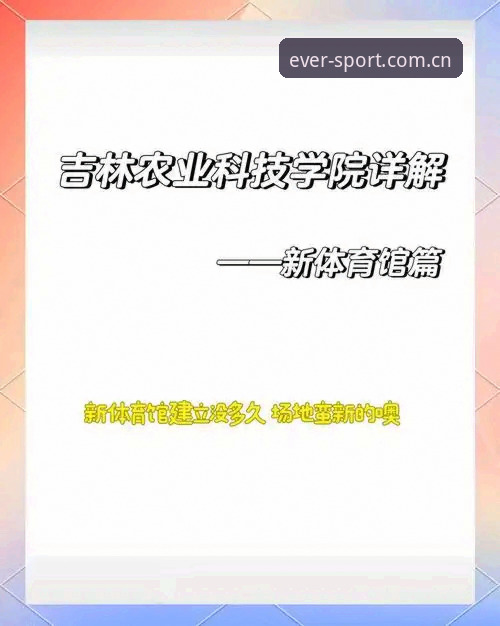四季体育官网最新版使用详解与体验分享