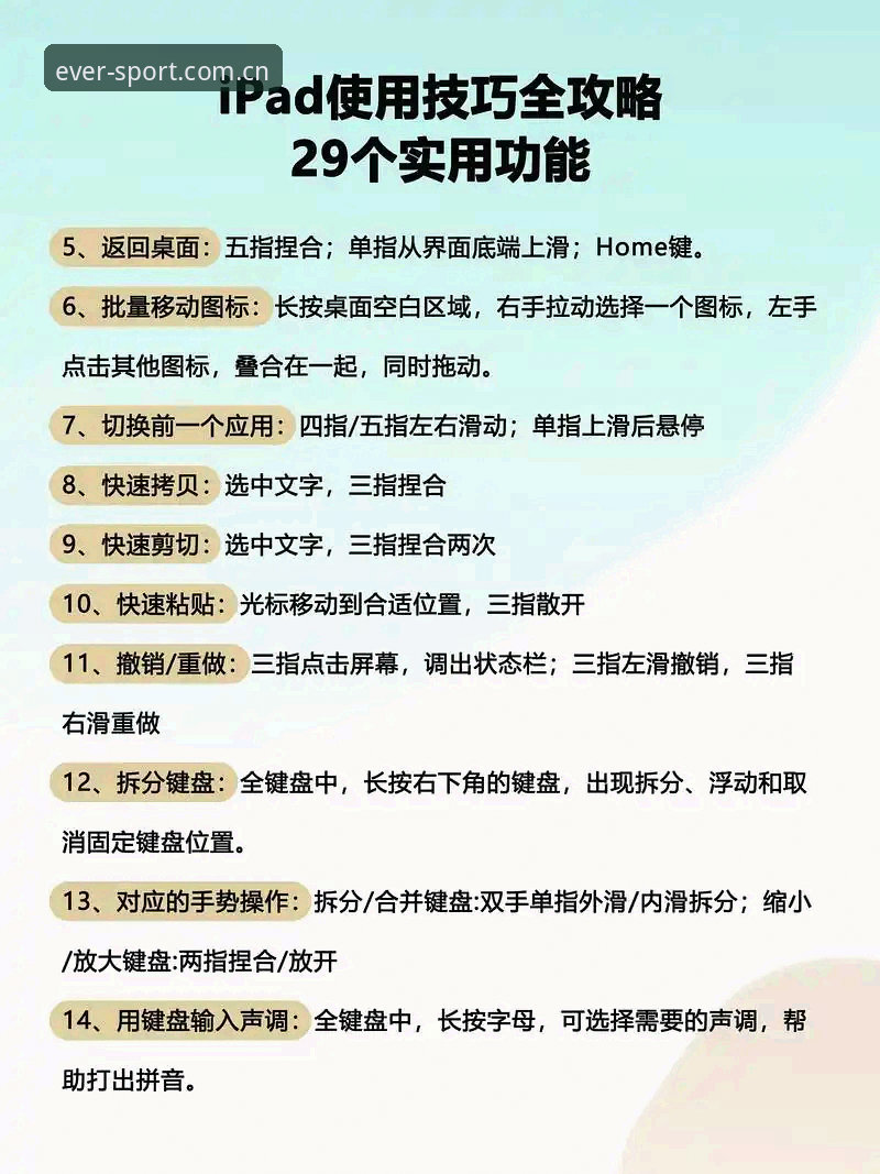 2026专业体育服务平台使用指南：从下载到功能解析的完整教程